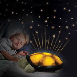 Twilight Turtle, Mocha