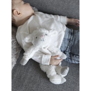 LOLLI LAMBS