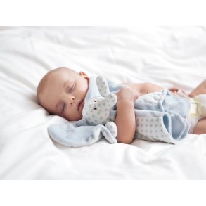 BIG EARS & COTTON CUTIES